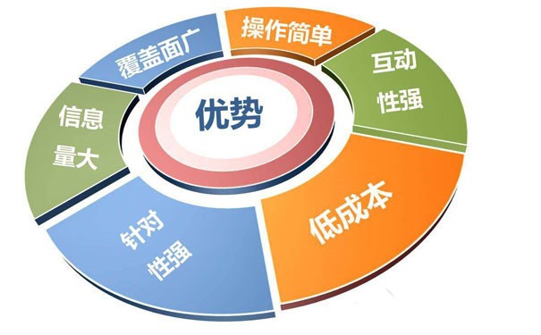 新津企业为什么要停止全网推行网站seo优化？